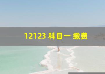 12123 科目一 缴费